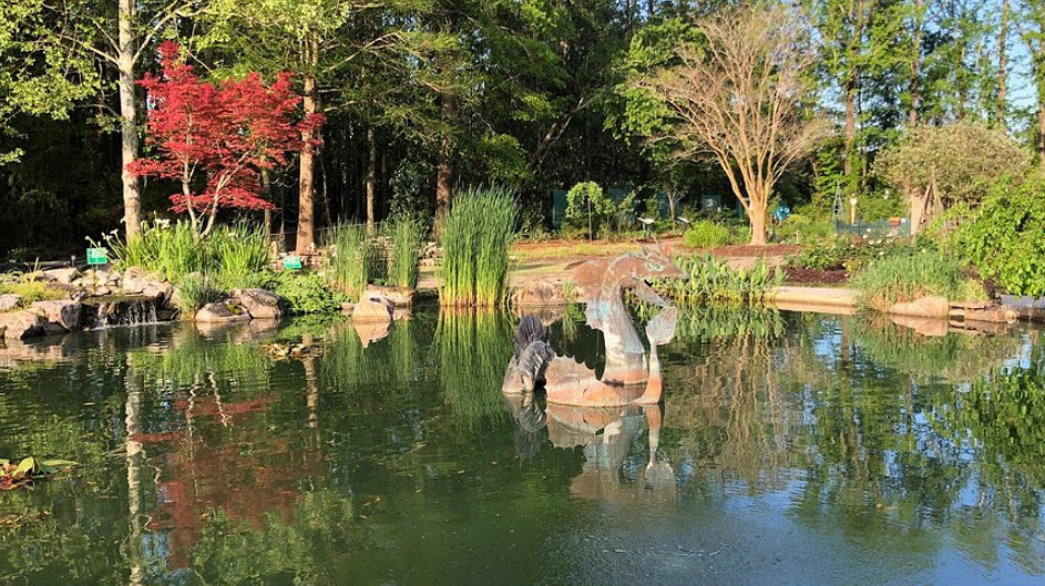 University of North Carolina at Wilmington Arboretum, Wilmington, North Carolina, United States